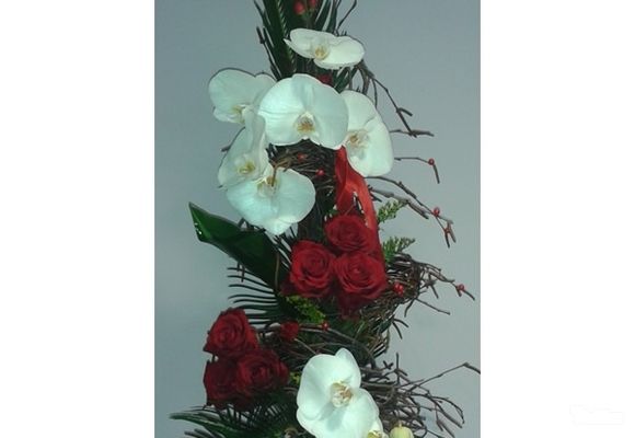 Ruže - buket penelopsis orhideje i crvene ruže - Cvećara Quince Flower