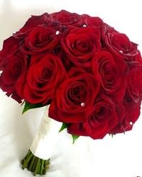 Ruže - buket crvenih ruža - Cvećara Alpinija