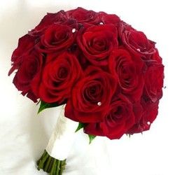 Ruže - buket crvenih ruža - Cvećara Alpinija