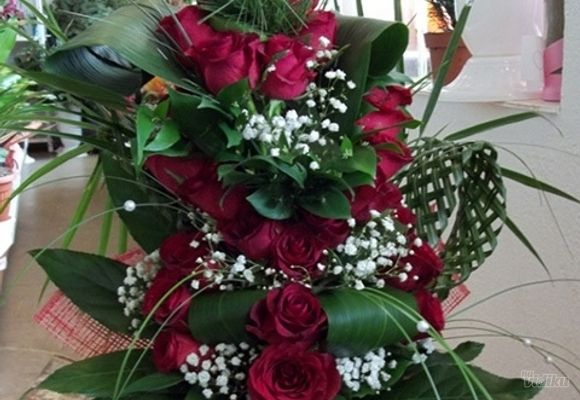 Ruže - crvene ruže i dekorativno zelenilo - Gift shop i cvećara Neven