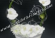Cvetni aranžmani - aranžman u srebrnoj posudi - Cvećara Flowers Silver Pack