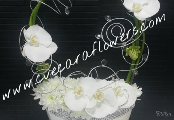 cvetni-aranzmani---aranzman-u-srebrnoj-posudi---cvecara-flowers-silver-pack.jpg