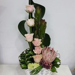 Cvetni aranžmani - aranžman sa proteom i roze ružama - Cvećara Flowers Silver Pack