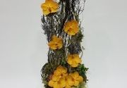 Cvetni aranžmani - aranžman u korpi sa orhidejama - Cvećara Flowers Silver Pack