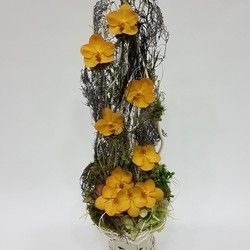 Cvetni aranžmani - aranžman u korpi sa orhidejama - Cvećara Flowers Silver Pack