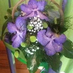 Cvetni aranžmani - ljubičasti aranžman - Cvećara Magnolija J