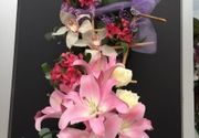 Orhideje - buket orhideje i drugo cveće - Cvećara Quince Flower
