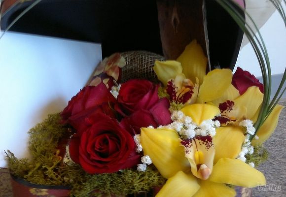 Orhideje - cvetni aranžman orhideje i ruže u koferu - Cvećara Quince Flower