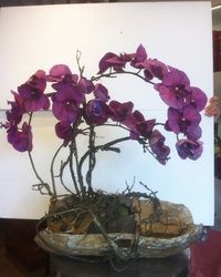 Orhideje - veštački aranžman - Cvećara Alpinija