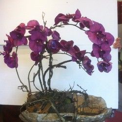 Orhideje - veštački aranžman - Cvećara Alpinija