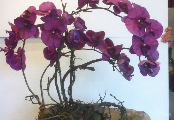orhideje---vestacki-aranzman---cvecara-alpinija.jpg