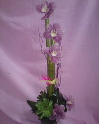 Orhideje - aranžman sa orhidejom bambusom i čuvarkućom - Cvećara Nađin kutak