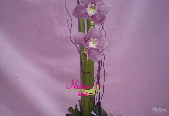 Orhideje - aranžman sa orhidejom bambusom i čuvarkućom - Cvećara Nađin kutak