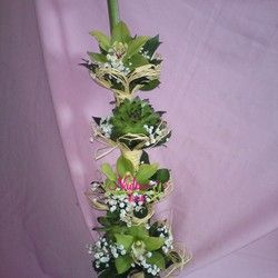 Orhideje - aranžman sa orhidejom i čuvarkućom - Cvećara Nađin kutak