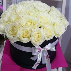 Ruže u kutiji - bele ruže - Cvećara Nađin kutak