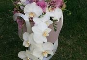 Cveće u kutiji - aranžman sa orhidejama i ružama - Cvećara Quince Flower