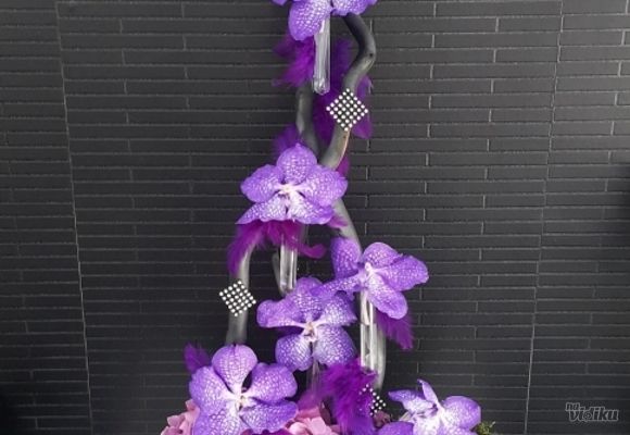 dostava-cveca---vanda-orhideje-i-hortenzija---cvecara-flowers-silver-pack.jpg