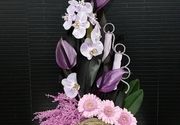 Dostava cveća - fenelopsis orhideje i mini gerber - Cvećara Flowers Silver Pack