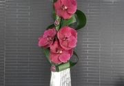Dostava cveća - aranžman u metalnoj vazi sa vandom orhidejom - Cvećara Flowers Silver Pack