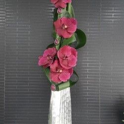Dostava cveća - aranžman u metalnoj vazi sa vandom orhidejom - Cvećara Flowers Silver Pack
