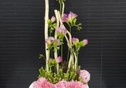 Dostava cveća - aranžman sa roze frezijama - Cvećara Flowers Silver Pack