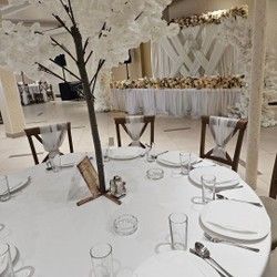 restoran-za-vencanja-kragujevac-64dc05.jpg