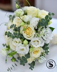 Nova cvecara u Rakovici