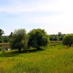 Dom za stara lica na levoj obali Dunava