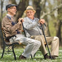 Briga o starim osobama Dorcol