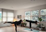 Vinyasa joga Novi Beograd
