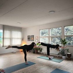 Vinyasa joga Novi Beograd