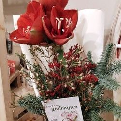 Cvece za godisnjicu braka Bezanijska kosa