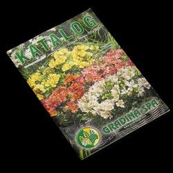 Povoljna izrada kataloga za firme