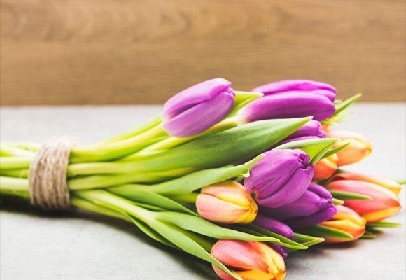Buket lala cvecara Kazablanka