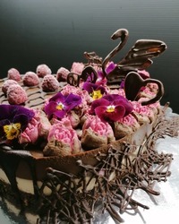 Čoko malina decija posna torta