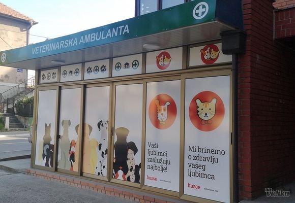 Vakcinacija pasa Veterinarska ambulanta Tomic