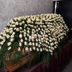 Suza za sahranu od 1000 ruza