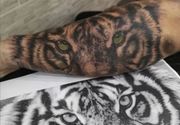 Tetovaza tigra Kragujevac