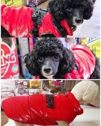 Kvalitetne jakne za pse Tim Pet Shop Stara Pazova