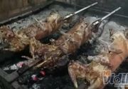Usluzno pecenje jagnjadi Mladenovac