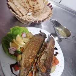 Przena riba Mladenovac