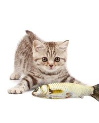Igračka-riba za mačke