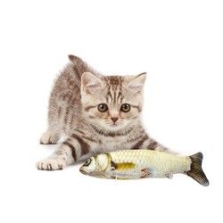 Igračka-riba za mačke
