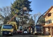 Rentiranje kamiona sa kranom Beograd
