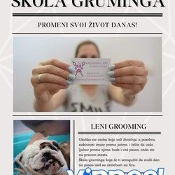 skola-gruminga-795a22.jpg
