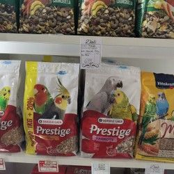 Hrana za papagaje Novi Sad