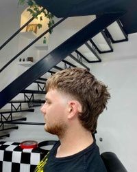 Mullet