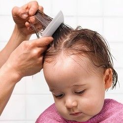 Da li prirodni preparati deluju protiv vaški?