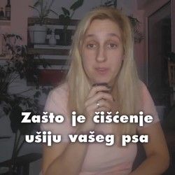 zasto-je-ciscenje-usiju-vaseg-psa-vazno-1aadef.jpg