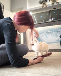 Kompletan tretman za Pomerance Autokomanda